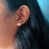 Buttercup Studs