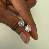 Buttercup Studs